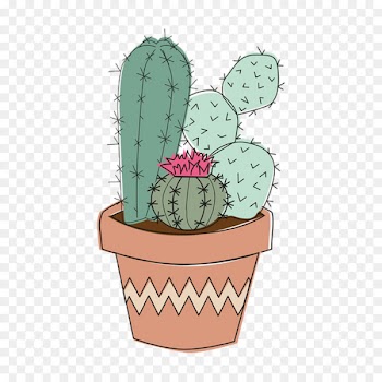 Cactus Portable Network Graphics Drawing Clip art Image - cactus 