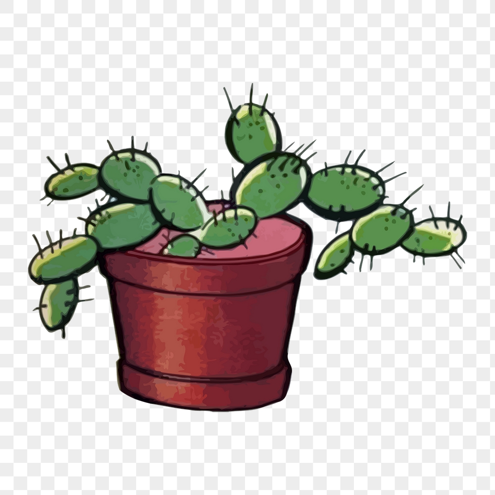 Cactus pot png sticker, botanical | Free PNG - rawpixel