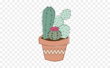Cactus, Succulent Plant, Drawing, Flowerpot PNG