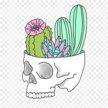 Cactus, Succulent Plant, Drawing, Green PNG