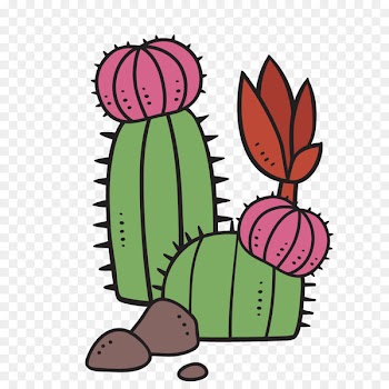 Cactus Succulent plant Image Portable Network Graphics Clip art - cute cactus 