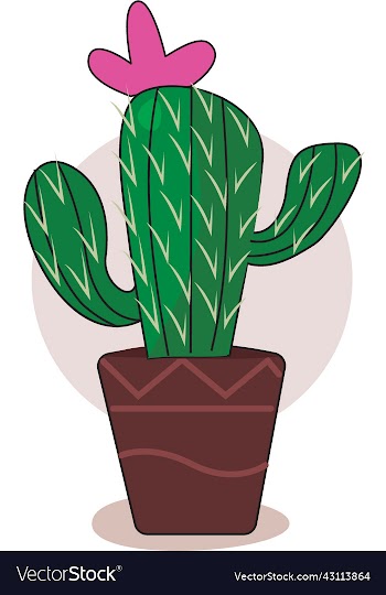 cactus with flower