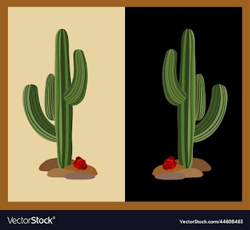 cactus3