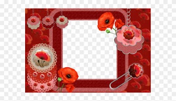 Cadre - Garden Roses