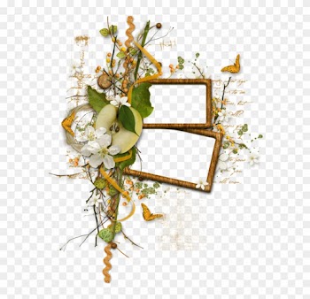 Cadres Et Bordures - Frame Png Tube