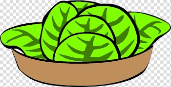 Caesar salad Greek salad Chicken salad , A cabbage leaf transparent background PNG clipart