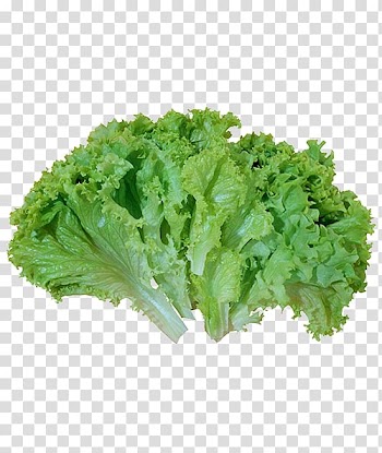 Caesar salad Leaf vegetable Lettuce, vegetable transparent background PNG clipart