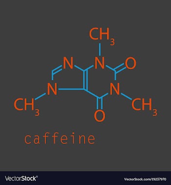 Caffeine molecule chemical structure background vector image