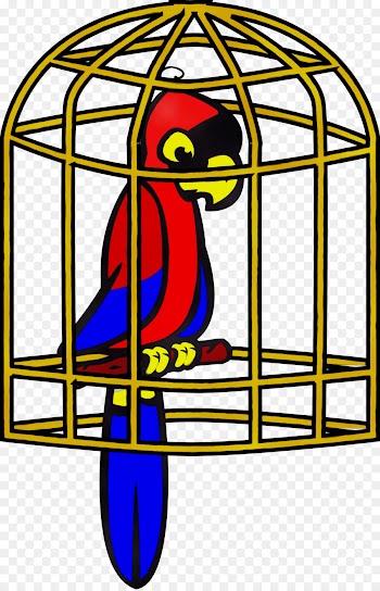 cage bird supply bird macaw beak