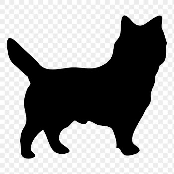 Cairn Terrier png dog sticker | Free PNG - rawpixel