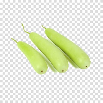 Calabash Gourd Vegetable Cucurbitaceae Bottle, bottle gourd transparent background PNG clipart