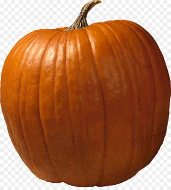 Calabaza Big Pumpkin Cucurbita pepo Pumpkin bread - Pumpkin harvest 