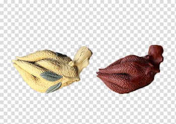 Calabaza Chayote Gourd Melon, Soup two-color gourd melon transparent background PNG clipart