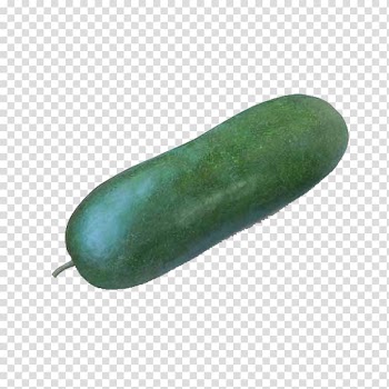 Calabaza Cucumber Pumpkin Halloween, pumpkin transparent background PNG clipart