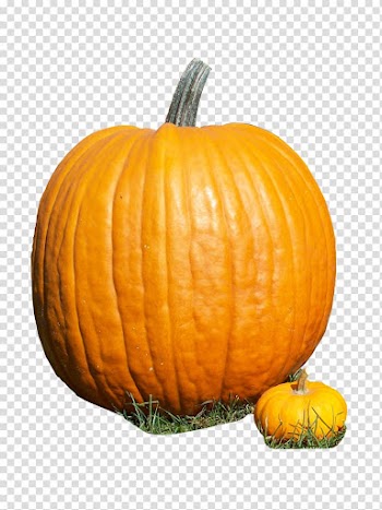 Calabaza Cucurbita Pumpkin Gourd Winter squash, pumpkin transparent background PNG clipart