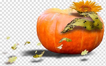 Calabaza Cucurbita Pumpkin Vegetable Food, pumpkin transparent background PNG clipart