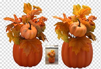 Calabaza Cucurbita Pumpkin Vegetarian cuisine Winter squash, pumpkin transparent background PNG clipart