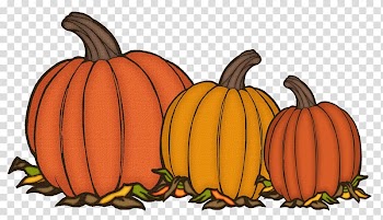 Calabaza Cucurbita Pumpkin Winter squash Gourd, elements transparent background PNG clipart