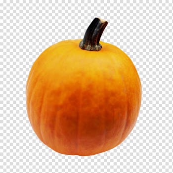 Calabaza Cucurbita Winter squash Pumpkin Gourd, pumpkin transparent background PNG clipart
