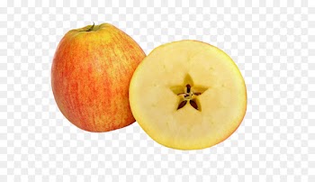 Calabaza Fruit Image Apple Cucurbita maxima - apple 