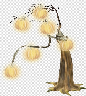 Calabaza Halloween , pumpkin transparent background PNG clipart