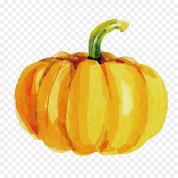 Calabaza Jack-o-lantern Pumpkin Winter squash Vegetarian cuisine - Golden Pumpkin 