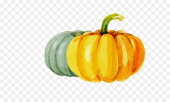 Calabaza Kabocha Pumpkin Halloween - Drawing Pumpkin 