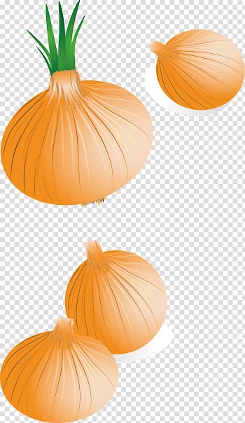 Calabaza Onion, creative design onion FIG. transparent background PNG clipart