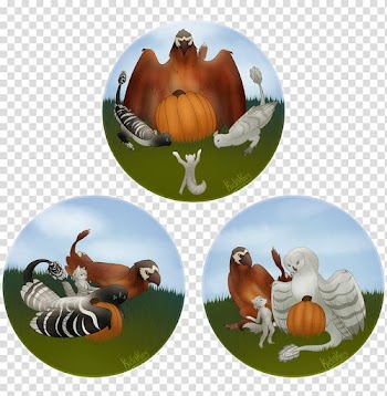 Calabaza Pumpkin Art Winter squash Drawing, kida transparent background PNG clipart