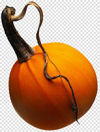 Calabaza Pumpkin Cucurbita maxima Zucchini Vegetable, halloween pumpkin transparent background PNG clipart