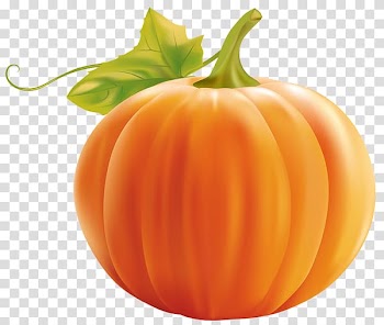 Calabaza Pumpkin Cucurbita pepo , pumpkin transparent background PNG clipart