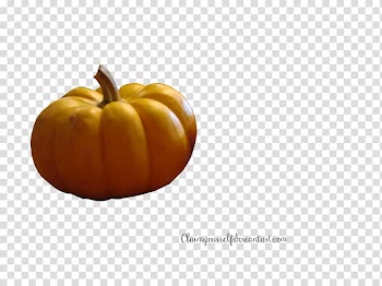 Calabaza Vegetarian cuisine Cucurbita Winter squash Pumpkin, pumpkin transparent background PNG clipart