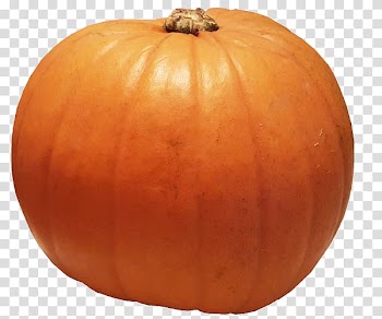 Calabaza Vegetarian cuisine Cucurbita Winter squash Pumpkin, pumpkin transparent background PNG clipart