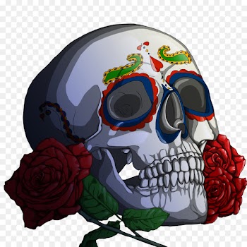 Calavera Human skull symbolism Day of the Dead Death - dead 