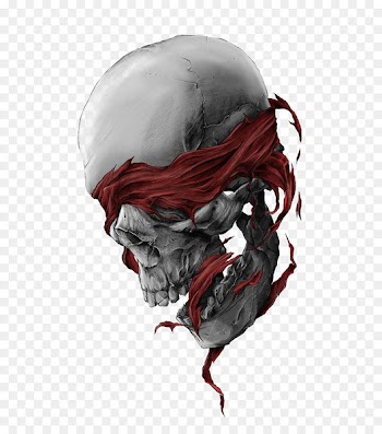 Calavera Skull - Skull 