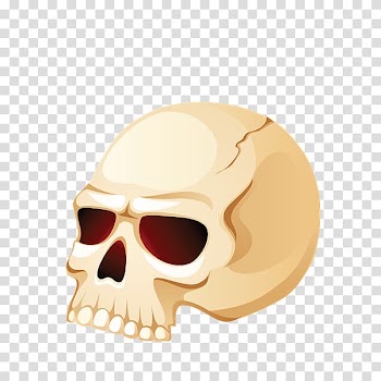 , Calaveras transparent background PNG clipart