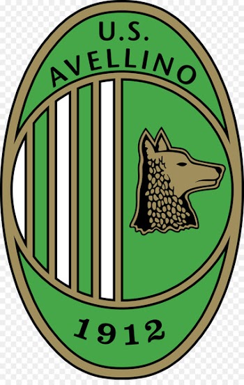 Calcio Avellino S.S.D. Football Logo Ternana Calcio - football 