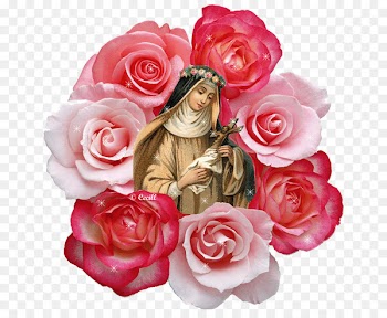 Calendar of saints Religion Bible Santa Rosa - Santa Rosa De Lima 