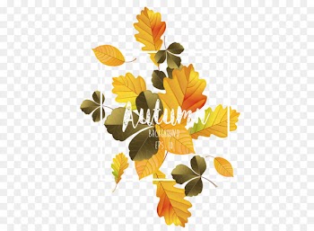 Calendula officinalis Common sunflower Yellow Pattern - Autumn leaves poster design material 