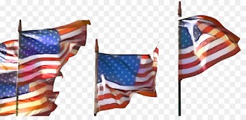 Calhoun County, Alliance Against Abortion, Antiabortion Movement, Flag, Flag Of The United States PNG