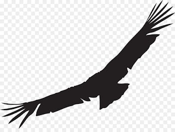 California condor Andean condor Bird Clip art - bird 