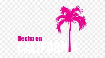 California - Palm Tree Vector Psd