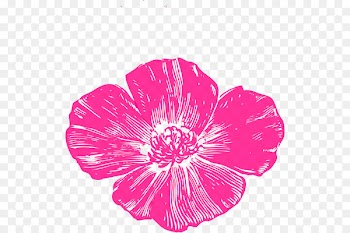 California poppy Clip art Portable Network Graphics Common poppy - anzac poppy 