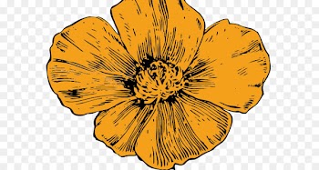 California poppy Drawing Clip art - tentacle pattern 