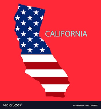 California state of america with map flag print vector image
