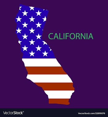 California state of america with map flag print vector image