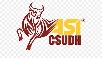 California State University Dominguez Hills San Francisco State University CSU Chancellors Office Organization - csudh frame 