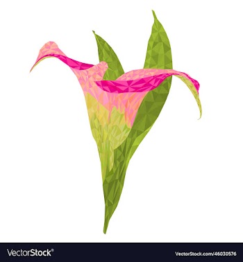 calla lily pink flowers and leaves polygons