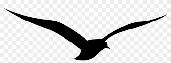 Calligraphy Alphabet Runic Z - European Swallow