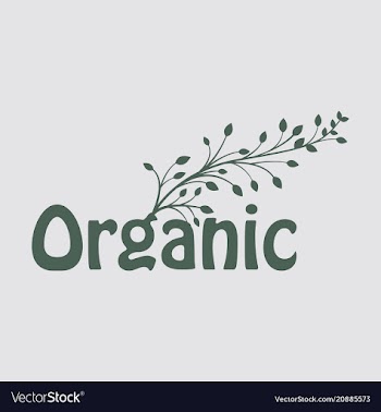 Calligraphy in eco-style with tree on the letter vector image